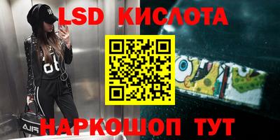 дмт Камышлов