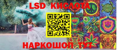 дмт Камышлов