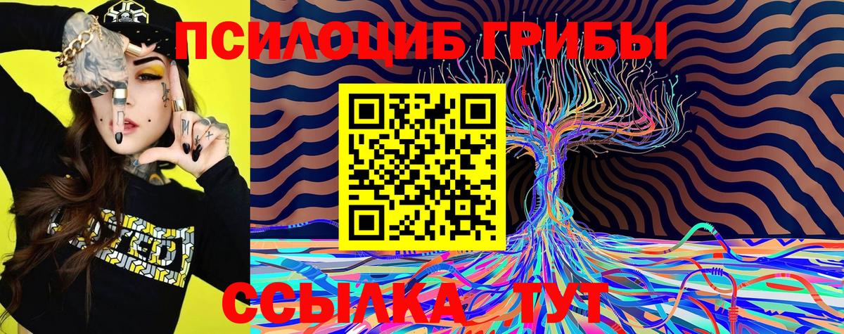 Курчатов  Псилоцибиновые грибы MAGIC MUSHROOMS  Вход с VPN 
